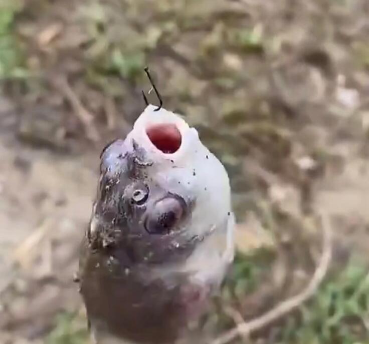 ���������ո˾���ʲô��˼������������ʲôԭ��