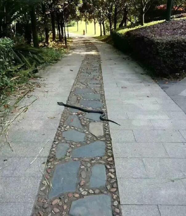 ����ѹ������ʲô˵���ɻ䣬����·�������ߺᴩ��·����