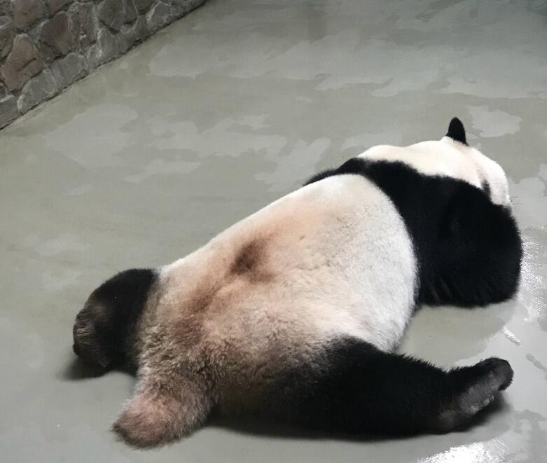 ʲôЦʲô˼