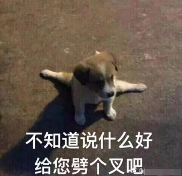 ʲôЦʲô˼