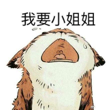 С�����ָ���Լ�������𣿱���С�����ʲô��˼