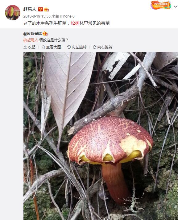 泤ҰĢԳж