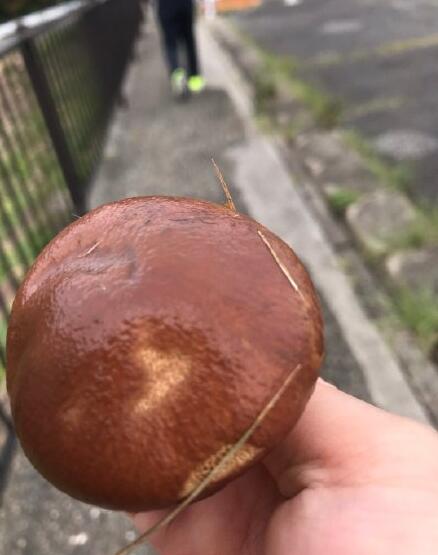 泤ҰĢԳж