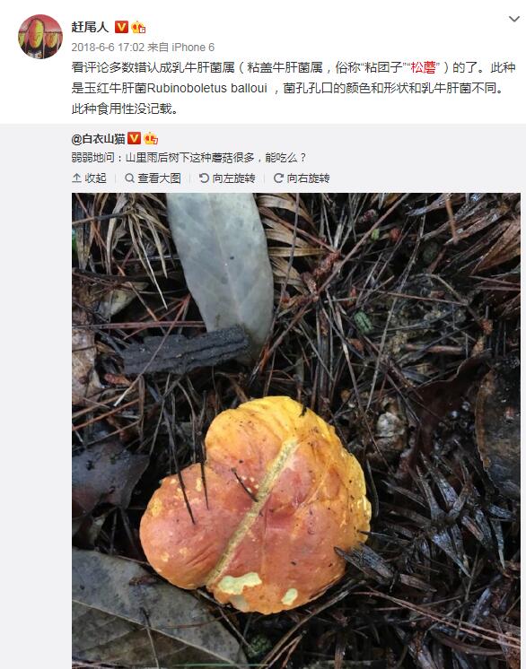 泤ҰĢԳж