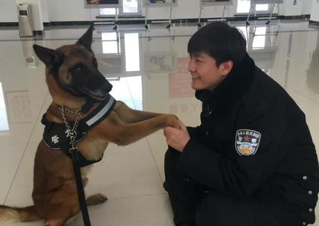 ��ƽ���춭��������������ת����û��