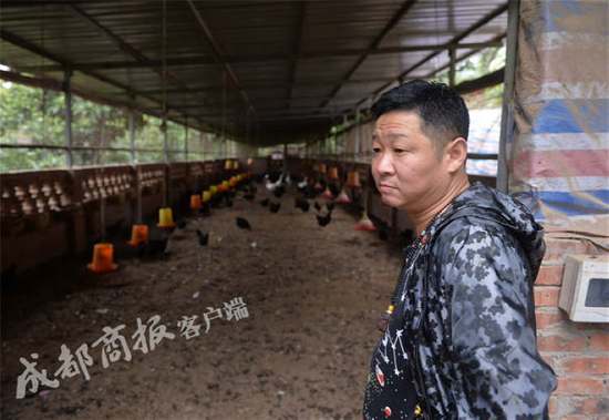 赵亮为什么养鸡?三德子赵亮在哪养公鸡