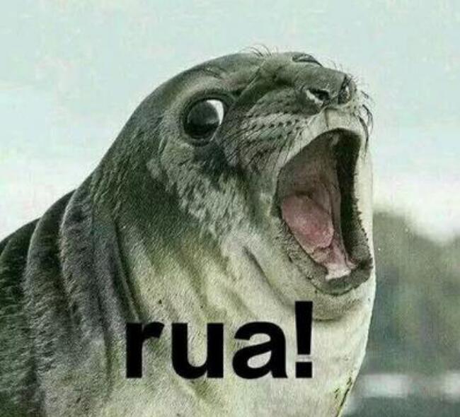 ������Ů��˵rua��ʲô��˼��rua������ʲô��˼��