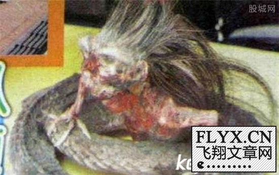 广西挖掘机挖出人头蛇,人头蛇身怪物震惊全球