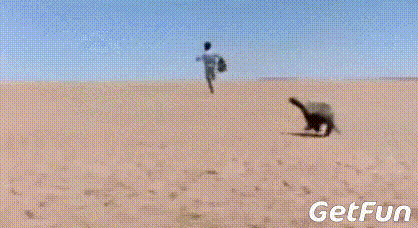 ��ү�����׷����Сʱ�����Ǳ�ү�ǡ��ϵ�Ҳ�������������׷