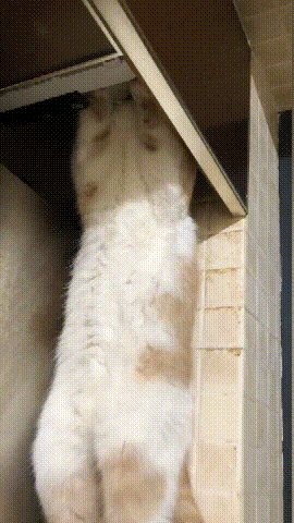 ʦʲôʲôе񡰷ϻѧ
