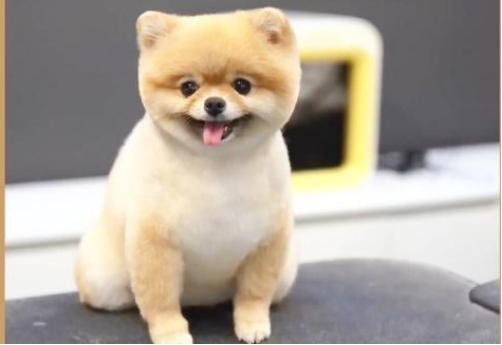 Ůԡʲô˼Ƕϲ˵