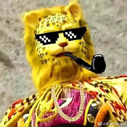 ǮͷʲôμǽǮͷͼƬŮֵĶУ