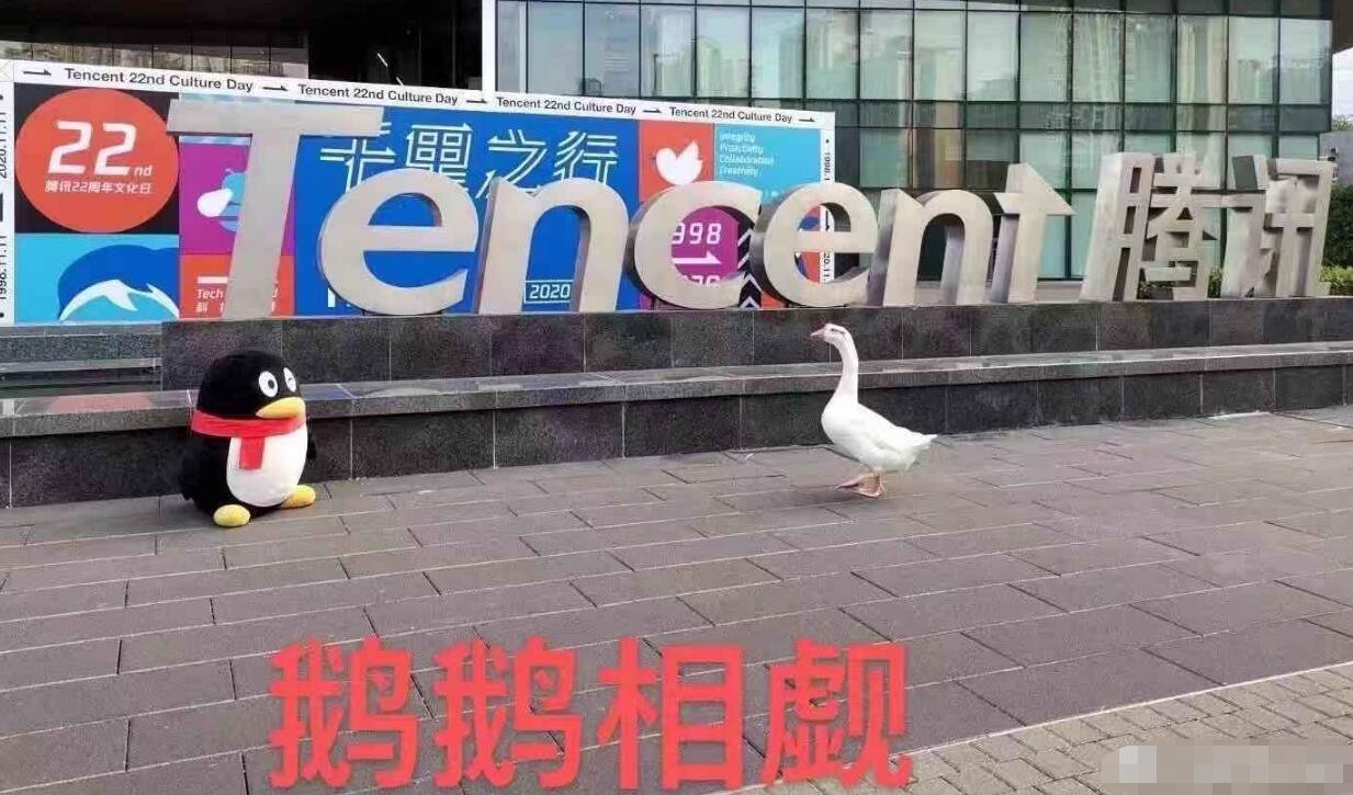 鹅厂和猪厂是什么意思?是什么公司?