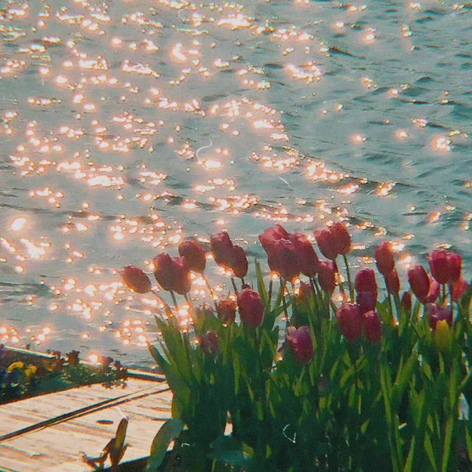 ְָŮͷ񣬱ͼƬ̵