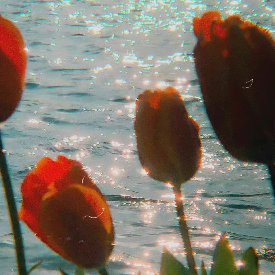 ְָŮͷ񣬱ͼƬ̵