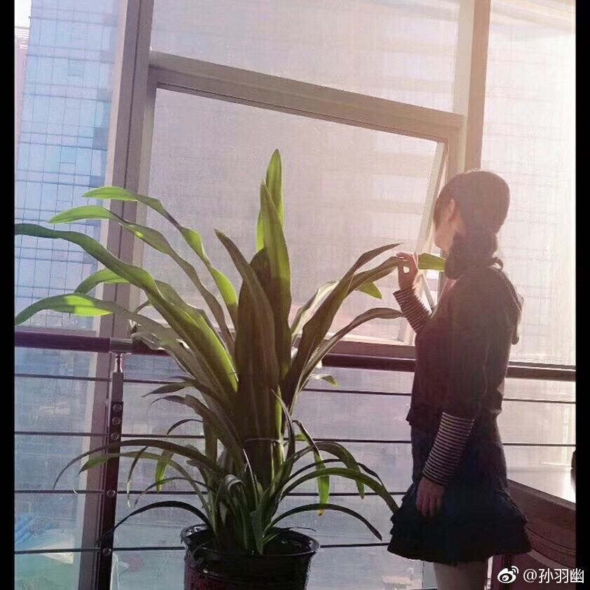 �����ĳ�ʲô���ǲ��Ǻܳ�����Ϊʲô�첻����