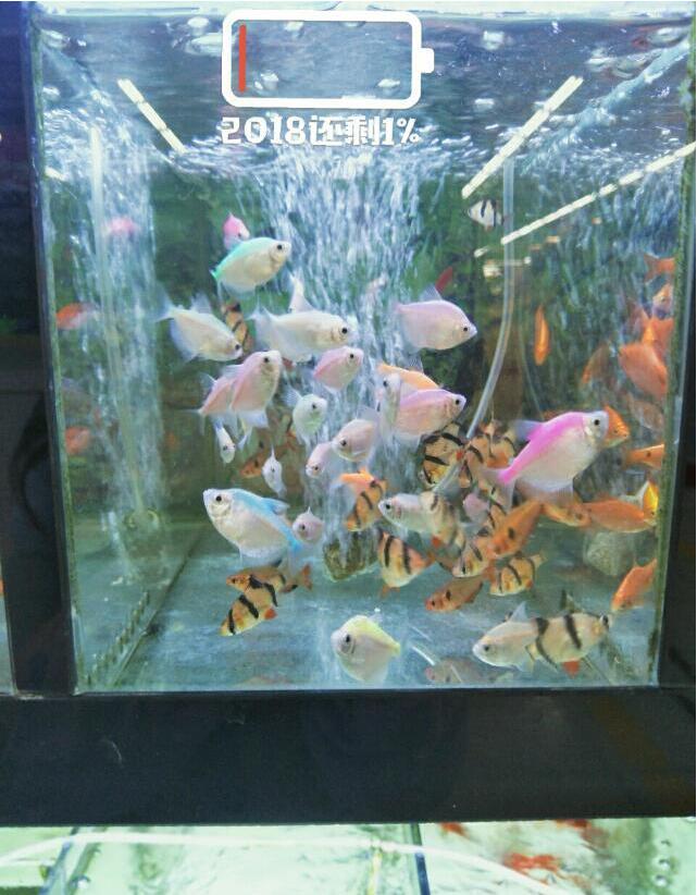 㼪Ϊʲô˫Ǵ