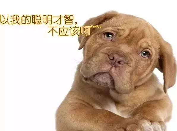 ���գ���Ȧͷ���ˡ���ë��������̫a�ˡ�tla��tag�ֱ�ɶ��˼��