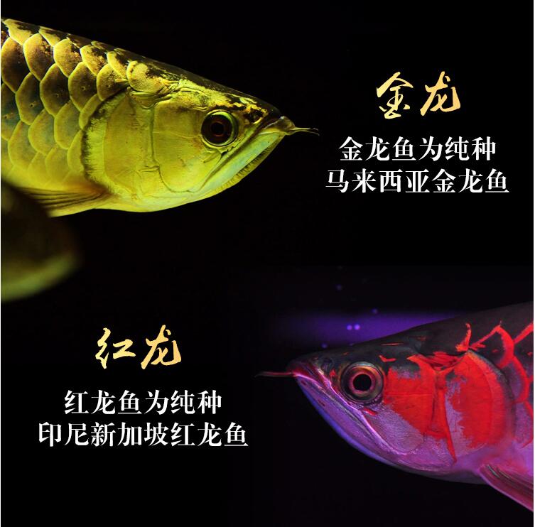 ǽ󣬽㲻ʺʲô