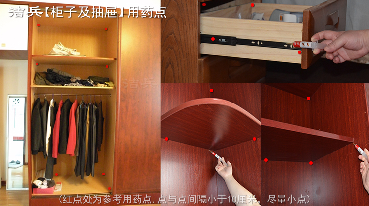 蟑螂会在什么地方产卵?一只蟑螂一次产多少卵鞘