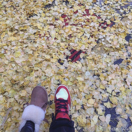 图解任嘉伦的女朋友是谁,广平王女友现真身!