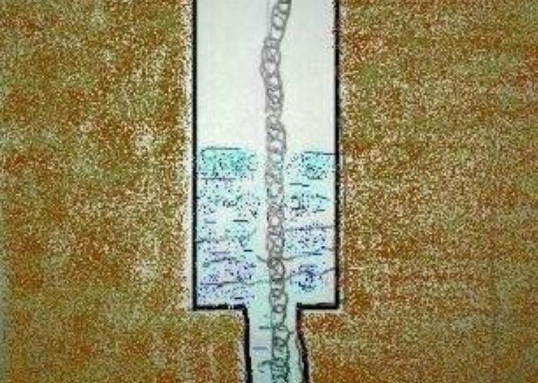 ״Ŀѧ
