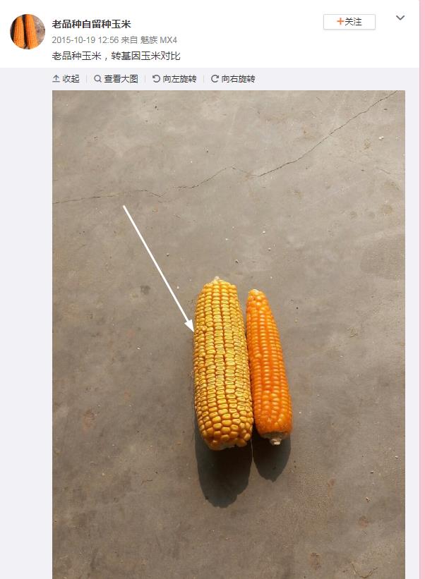 ��ηֱ�ת��������ͼ�����ת�������׵ķ���