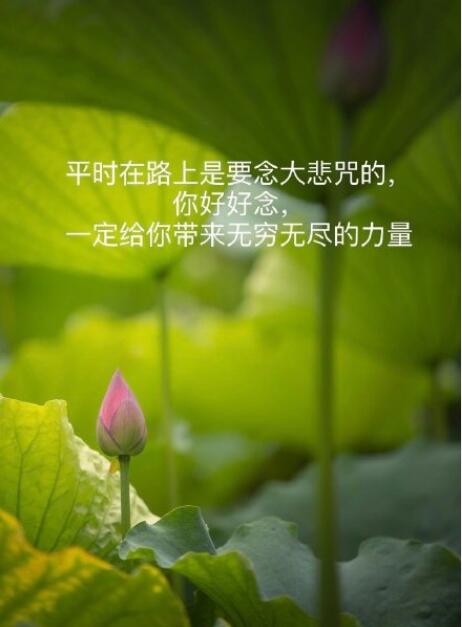 ˵񼲲ħ٣ҵϲձ