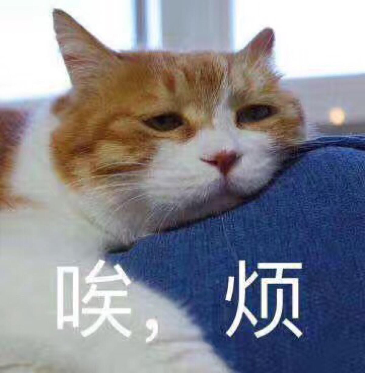 Ů㷢ʲô˼˻㺦ôظ