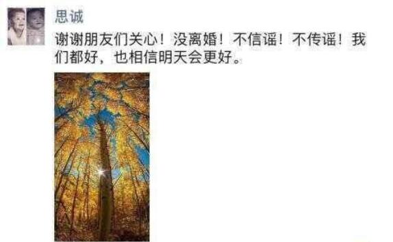 佟丽娅与陈思成现状和好了吗,陈思诚为什么嫌弃佟丽娅?