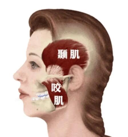 ˵ҧǶٹ൱ʲô