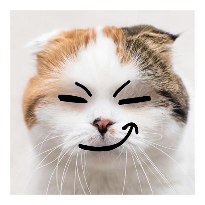 hiahiahiaʲô˼hiahiahia