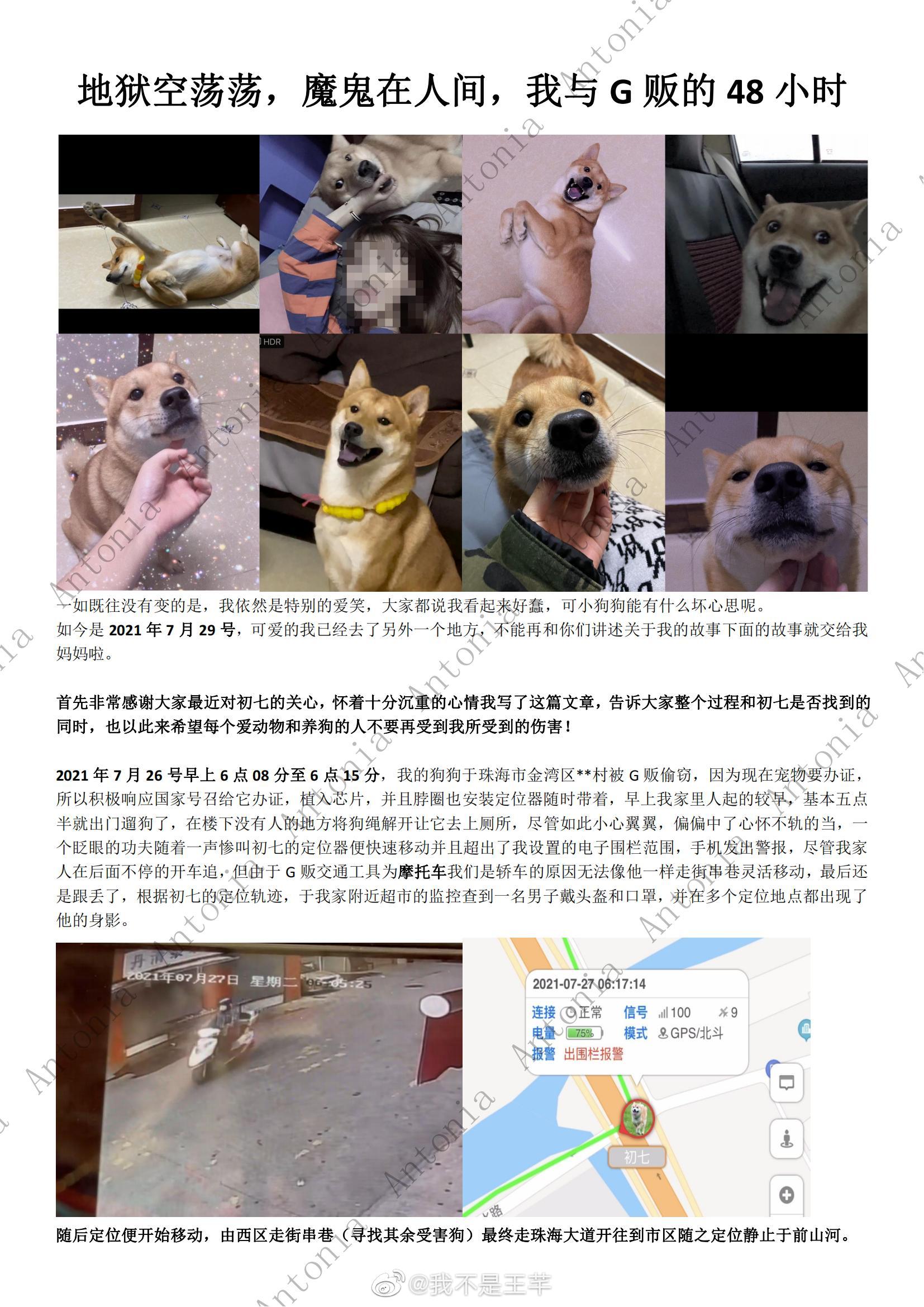 ��Ȯ����ͼƬ����Ȯ���߱�͵�¼��ع�