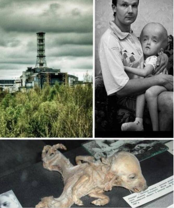 жŵƬжŵڻк˷