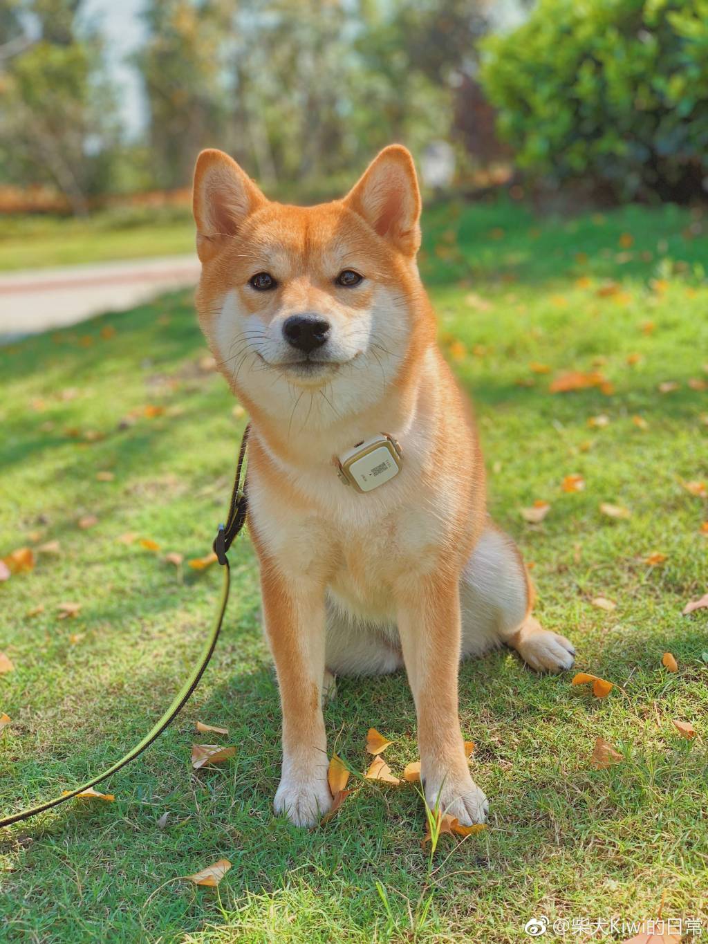 ȮĸձĹȮձܹ