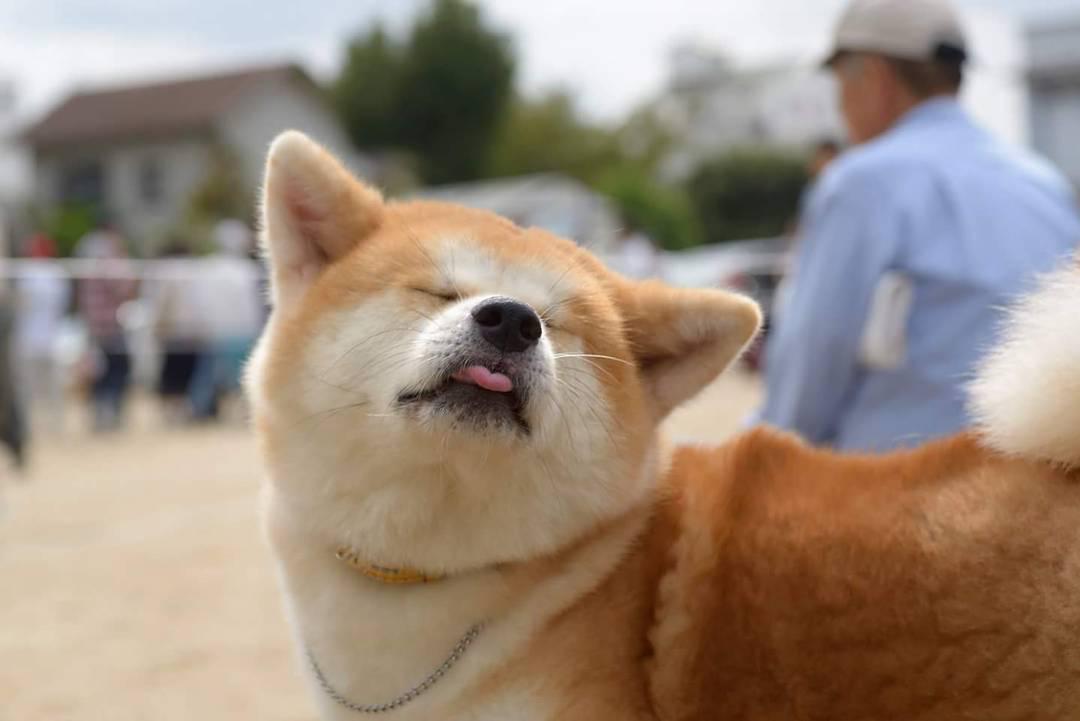 ȮĸձĹȮձܹ