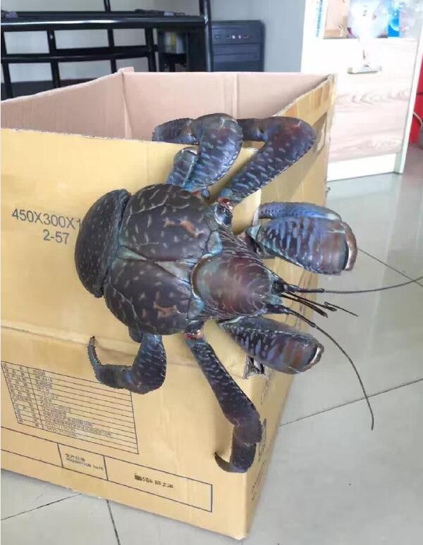 ҬзΪʲô˹ֳҬзˮᱻ