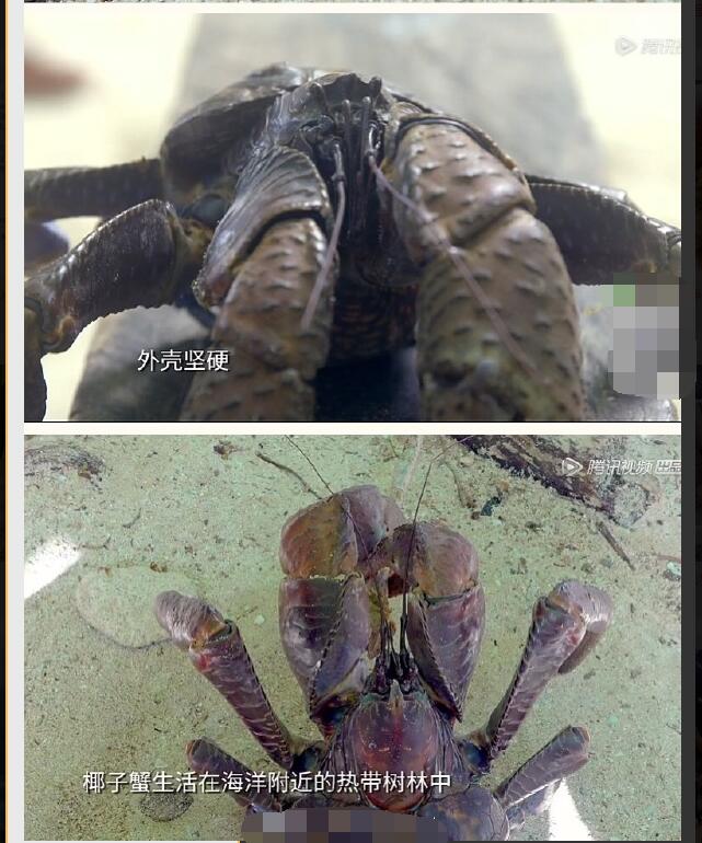 ҬзΪʲô˹ֳҬзˮᱻ