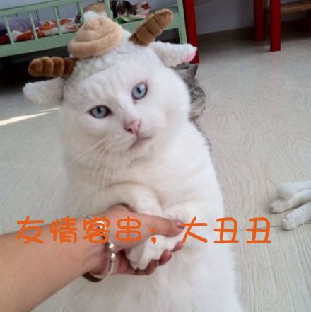 вȵʺòãȵʺЬӻҪ