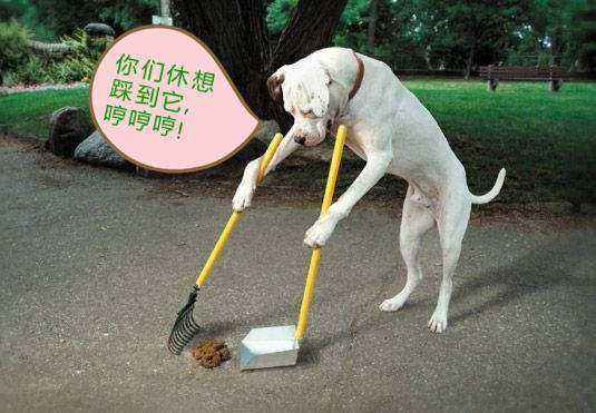 вȵʺòãȵʺЬӻҪ