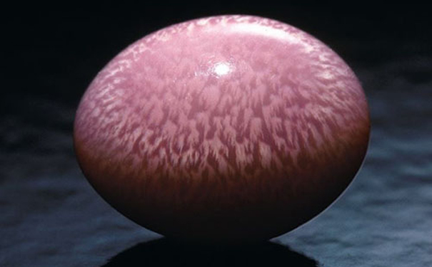 ʲôĺݿԳ飬ϡ