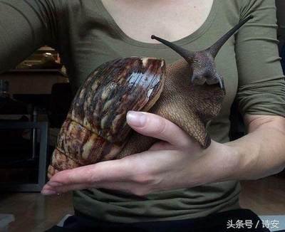 ޴ţ˳ôй