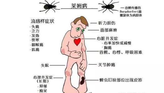 ޱal6ʲôޱôõķǾ֢
