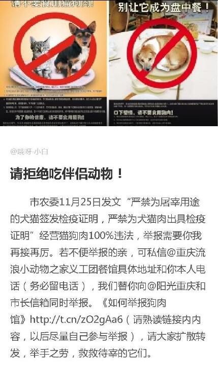 猫肉什么味道是酸的吗,传说吃了猫肉会怎么样?