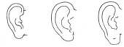 ���˴�������ǿ������ ������ж���������