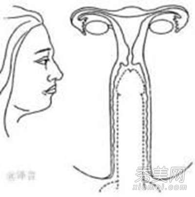 ���˴�������ǿ������ ������ж���������