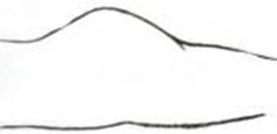 ���˴�������ǿ������ ������ж���������