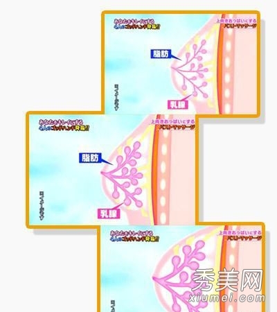 �ձ�������������ط� ����ʾ��ͼ