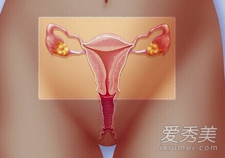 好奇!女人阴道能容纳多大阴茎?_女人阴道有多长