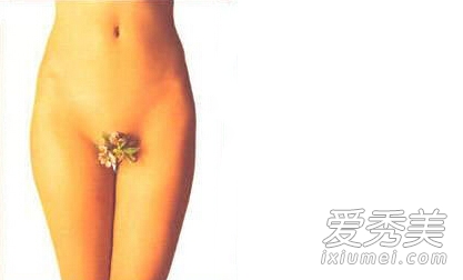 ֱŮȫ׼ọ̈̄ͼ_ȫ